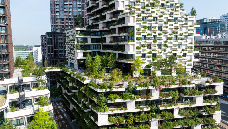 Waarom het veranderen van mindset en vaardigheden cruciaal is voor veerkracht in de bouw